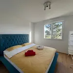 Daire Oasis Confort A Bergheim, Alsace *
