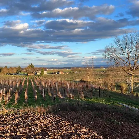 Oasis Confort A Bergheim, Alsace Daire