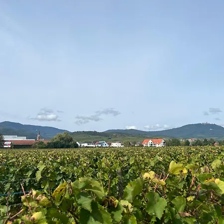 Oasis Confort A Bergheim, Alsace Daire Bergheim